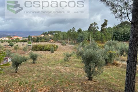Gård i Paul, Castelo Branco, Paul - € 80 000 | Ref: 5881/CP - foto 13