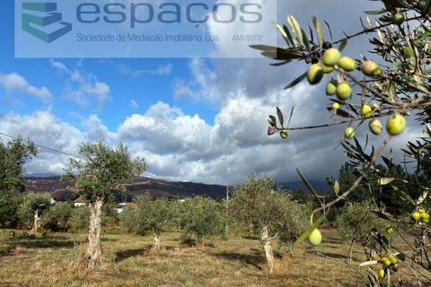 Gård i Paul, Castelo Branco, Paul - € 80 000 | Ref: 5881/CP - foto 18