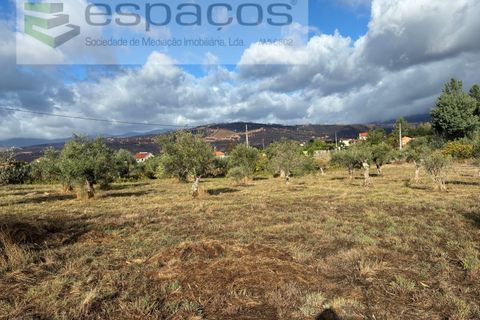 Gård i Paul, Castelo Branco, Paul - € 80 000 | Ref: 5881/CP - foto 19