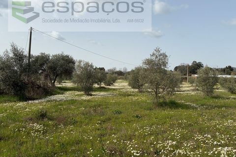 Tomt i Fundao, Castelo Branco, Fundao - € 46 000 | Ref: 5508/CP-AF - foto 4