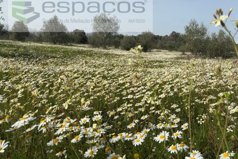Tomt i Fundao, Castelo Branco, Fundao - € 46 000 | Ref: 5508/CP-AF - foto 7