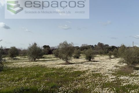 Tomt i Fundao, Castelo Branco, Fundao - € 46 000 | Ref: 5508/CP-AF - foto 8