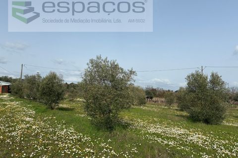Tomt i Fundao, Castelo Branco, Fundao - € 46 000 | Ref: 5508/CP-AF - foto 10