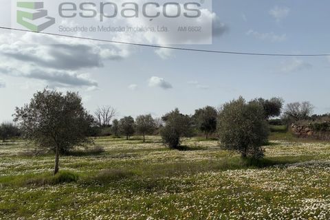 Tomt i Fundao, Castelo Branco, Fundao - € 46 000 | Ref: 5508/CP-AF - foto 11