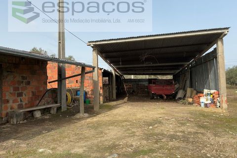 Tomt i Fundao, Castelo Branco, Fundao - € 46 000 | Ref: 5508/CP-AF - foto 13