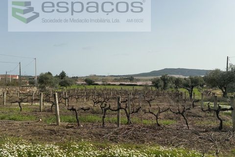 Tomt i Fundao, Castelo Branco, Fundao - € 46 000 | Ref: 5508/CP-AF - foto 20