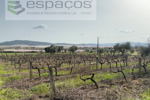 Tomt i Fundao, Castelo Branco, Fundao - € 46 000 | Ref: 5508/CP-AF - foto 22