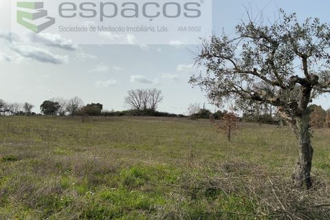 Tomt i Fundao, Castelo Branco, Fundao - € 46 000 | Ref: 5508/CP-AF - foto 27