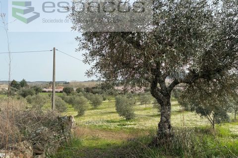 Tomt i Fundao, Castelo Branco, Fundao - € 46 000 | Ref: 5508/CP-AF - foto 29