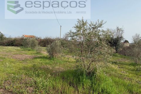 Tomt i Fundao, Castelo Branco, Fundao - € 46 000 | Ref: 5508/CP-AF - foto 36