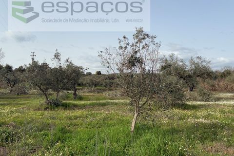 Tomt i Fundao, Castelo Branco, Fundao - € 46 000 | Ref: 5508/CP-AF - foto 40