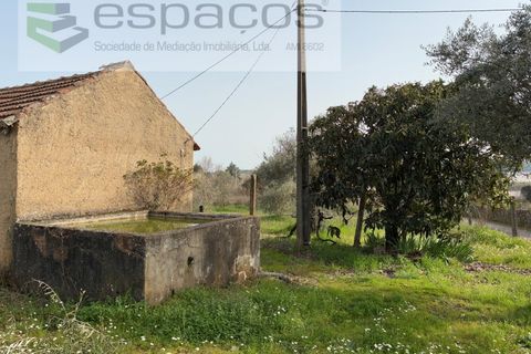 Tomt i Fundao, Castelo Branco, Fundao - € 46 000 | Ref: 5508/CP-AF - foto 44