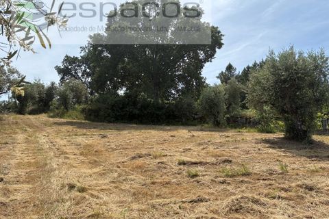Tomt i Fundao, Castelo Branco, Fundao - € 60 000 | Ref: 5541/CP-AF - foto 4