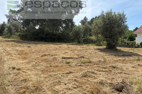Tomt i Fundao, Castelo Branco, Fundao - € 60 000 | Ref: 5541/CP-AF - foto 5
