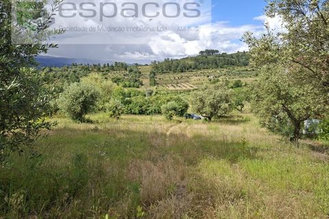 Tomt i Fundao, Castelo Branco, Fundao - € 60 000 | Ref: 5541/CP-AF - foto 6