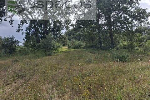 Tomt i Fundao, Castelo Branco, Fundao - € 60 000 | Ref: 5541/CP-AF - foto 8