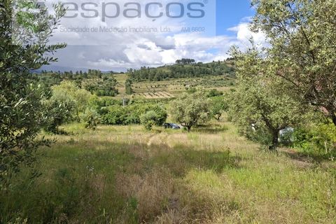 Tomt i Fundao, Castelo Branco, Fundao - € 60 000 | Ref: 5541/CP-AF - foto 9