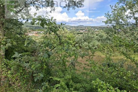 Tomt i Fundao, Castelo Branco, Fundao - € 60 000 | Ref: 5541/CP-AF - foto 11