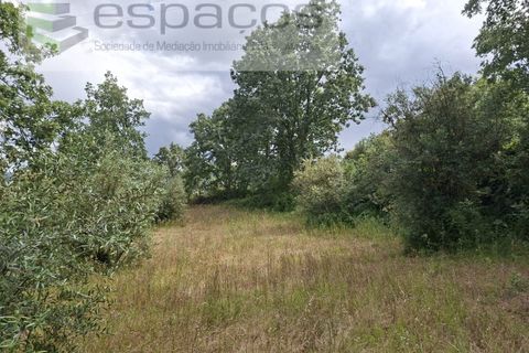 Tomt i Fundao, Castelo Branco, Fundao - € 60 000 | Ref: 5541/CP-AF - foto 13