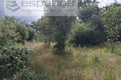 Tomt i Fundao, Castelo Branco, Fundao - € 60 000 | Ref: 5541/CP-AF - foto 14