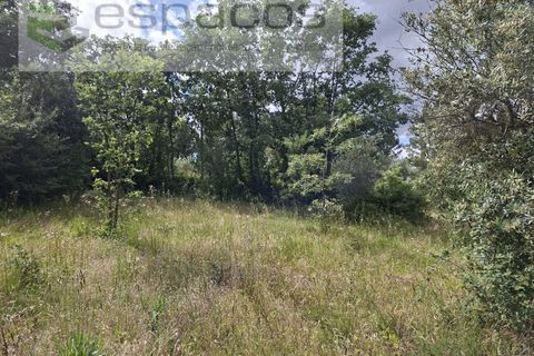 Tomt i Fundao, Castelo Branco, Fundao - € 60 000 | Ref: 5541/CP-AF - foto 15
