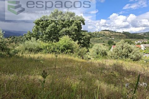 Tomt i Fundao, Castelo Branco, Fundao - € 60 000 | Ref: 5541/CP-AF - foto 16