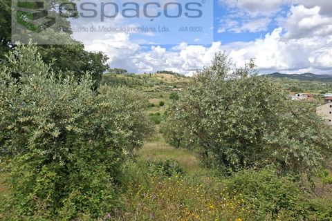 Tomt i Fundao, Castelo Branco, Fundao - € 60 000 | Ref: 5541/CP-AF - foto 18