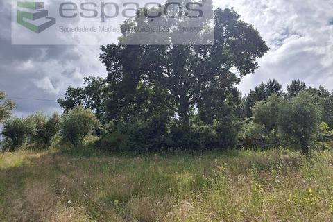 Tomt i Fundao, Castelo Branco, Fundao - € 60 000 | Ref: 5541/CP-AF - foto 19