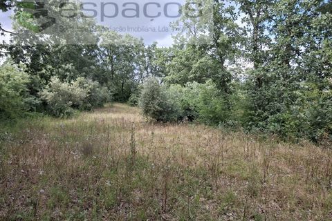 Tomt i Fundao, Castelo Branco, Fundao - € 60 000 | Ref: 5541/CP-AF - foto 20