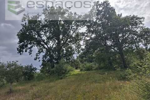Tomt i Fundao, Castelo Branco, Fundao - € 60 000 | Ref: 5541/CP-AF - foto 21