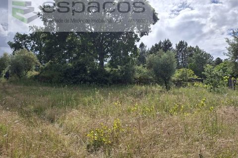 Tomt i Fundao, Castelo Branco, Fundao - € 60 000 | Ref: 5541/CP-AF - foto 23