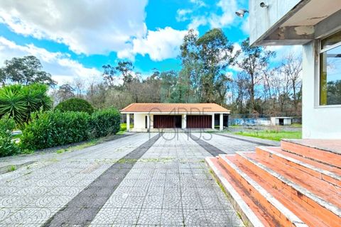 Haus in Ruivaes e Novais, Braga, Ruivaes e Novais - € 704.000 | Ref: CAS_4253 - Foto 39