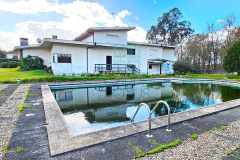 Haus in Ruivaes e Novais, Braga, Ruivaes e Novais - € 704.000 | Ref: CAS_4253 - Foto 42