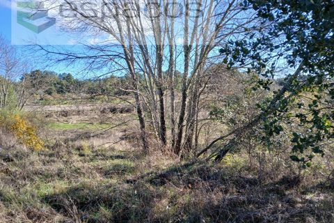 Gård i Castelo Branco, Castelo Branco, Castelo Branco - € 36 150 | Ref: 5734/RR_EM - foto 11