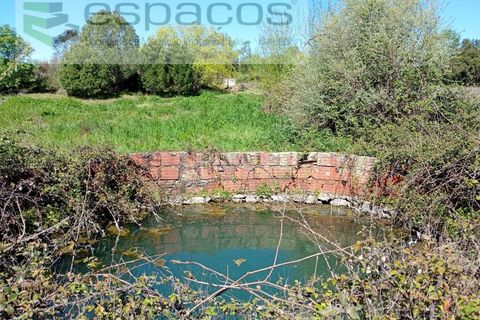 Gård i Castelo Branco, Castelo Branco, Castelo Branco - € 36 150 | Ref: 5734/RR_EM - foto 15