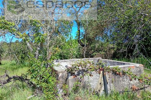 Gård i Castelo Branco, Castelo Branco, Castelo Branco - € 36 150 | Ref: 5734/RR_EM - foto 22