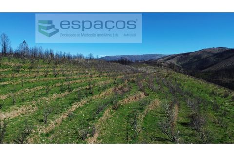 Tomt i Fundao, Castelo Branco, Fundao - € 70 000 | Ref: 5777/FA - foto 12