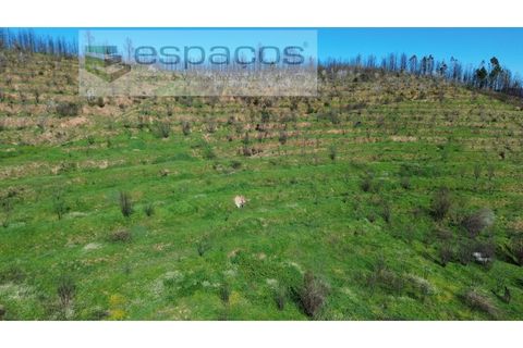 Tomt i Fundao, Castelo Branco, Fundao - € 70 000 | Ref: 5777/FA - foto 18