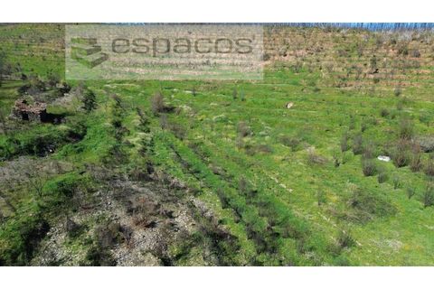 Tomt i Fundao, Castelo Branco, Fundao - € 70 000 | Ref: 5777/FA - foto 23