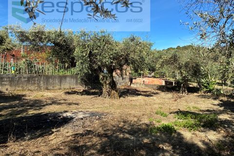 Villa a Fundao, Castelo Branco, Fundao - € 190.000 | Ref: 5812/CP - foto 47