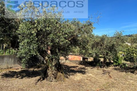 Villa a Fundao, Castelo Branco, Fundao - € 190.000 | Ref: 5812/CP - foto 49