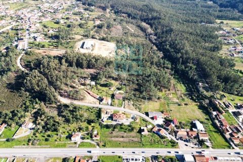 Helårsgrund i Pombal, Leiria, Pombal - € 1.200.000 | Ref: TER_4032a - foto 2