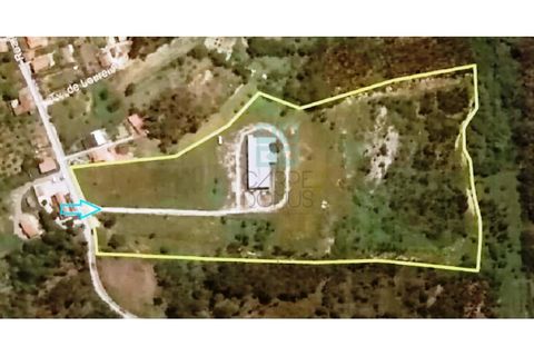 Helårsgrund i Pombal, Leiria, Pombal - € 1.200.000 | Ref: TER_4032a - foto 3