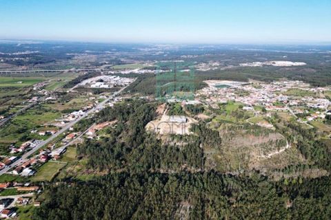 Helårsgrund i Pombal, Leiria, Pombal - € 1.200.000 | Ref: TER_4032a - foto 4