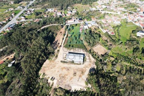 Helårsgrund i Pombal, Leiria, Pombal - € 1.200.000 | Ref: TER_4032a - foto 5