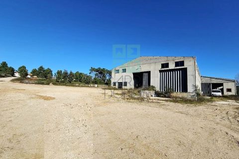 Helårsgrund i Pombal, Leiria, Pombal - € 1.200.000 | Ref: TER_4032a - foto 7