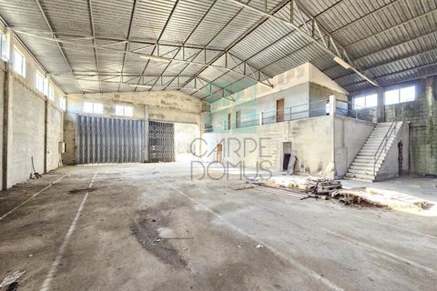 Helårsgrund i Pombal, Leiria, Pombal - € 1.200.000 | Ref: TER_4032a - foto 8