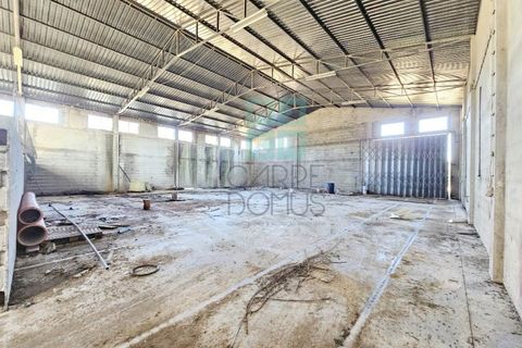 Helårsgrund i Pombal, Leiria, Pombal - € 1.200.000 | Ref: TER_4032a - foto 9