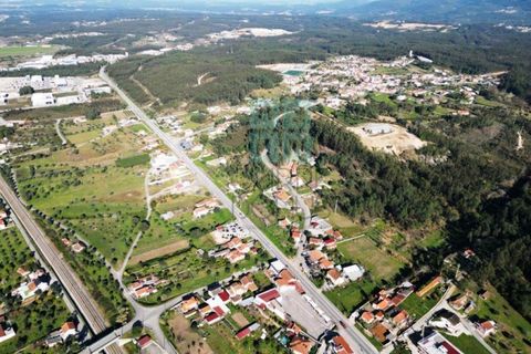 Helårsgrund i Pombal, Leiria, Pombal - € 1.200.000 | Ref: TER_4032a - foto 10