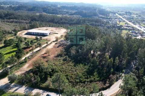 Helårsgrund i Pombal, Leiria, Pombal - € 1.200.000 | Ref: TER_4032a - foto 11